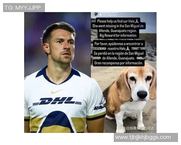 足球巨星们的爱犬揭秘他们与宠物之间温暖陪伴的故事 足球巨星们的爱犬揭秘他们与宠物之间温暖陪伴的故事